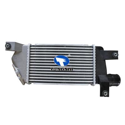 For  MITSUBISHI  L200 07-INTERCOOLER OEM : MN135001