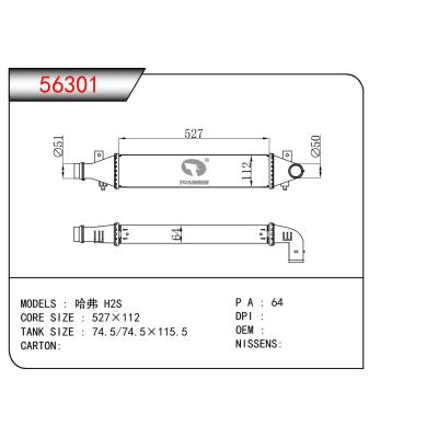 For CHINESE CAR Haver H2S