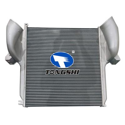 For BENZ ACTROS INTERCOOLER OEM : A9425010301