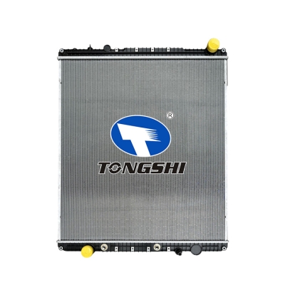 For FREIGHTLINER CASSADIA 125 L6 12.8L 09-12 AT Heavy truck Series