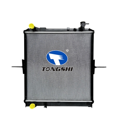 For LIGHT TRUCK AT Radiator