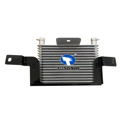 For  FORD EXPEDITION 4.6L 2003  Oil Cooler