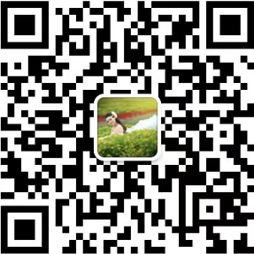 wechat for foreign