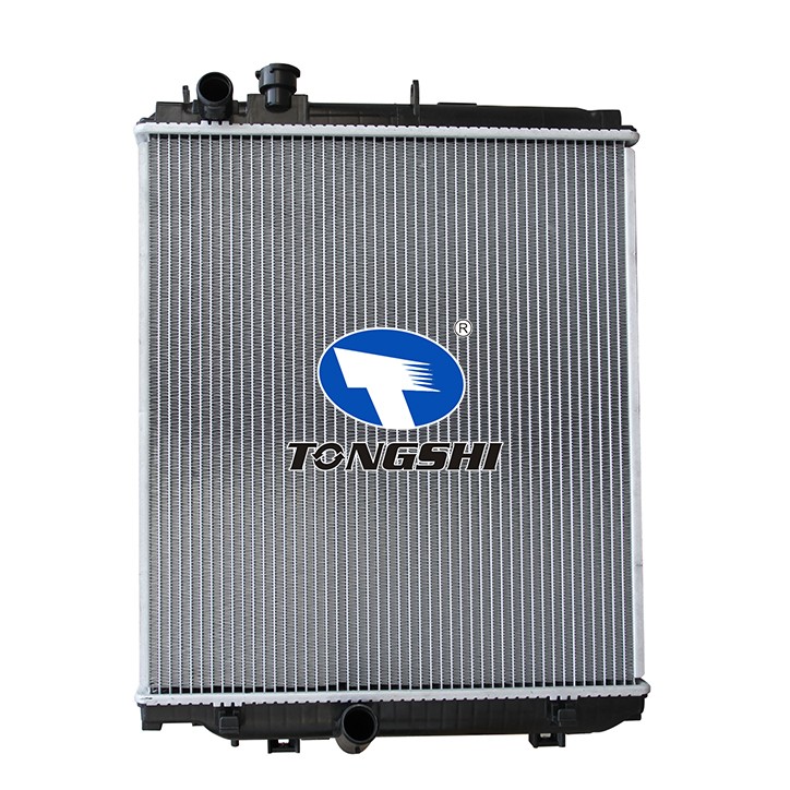 For TOYOTA DYNA LY235 Radiator-TONGSHI