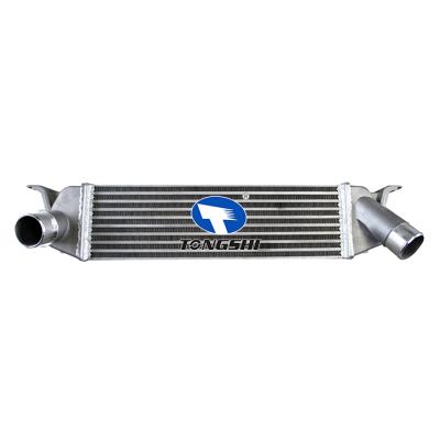 For  HYUNDAI iLoad Box (TQ) 08-INTERCOOLER OEM : 281904A481