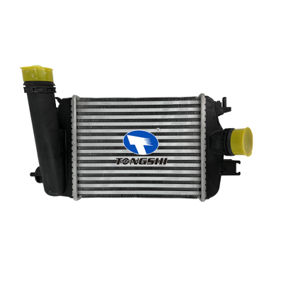 FOR RENAULT CLIO 1.3 16V INTERCOOLER OEM：144961019R