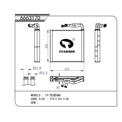 For 19-Trumpchi GM6 Evaporator