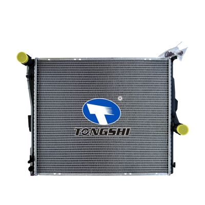 FOR  BMW X3 (E83) 3.0i 07-10 MT RADIATOR