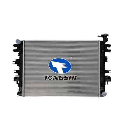 for   NISSAN Riich 6 2.5T 19-MT*  radiator
