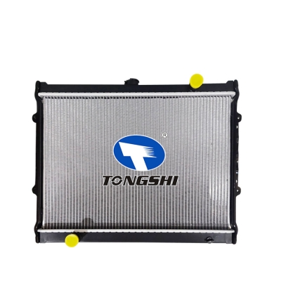 For CFA6473A3'Cheetah Raider 09- MT  Radiator
