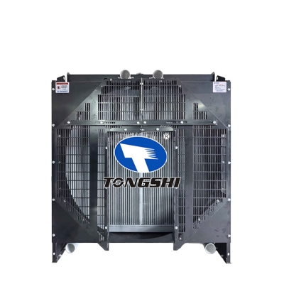 For  12V135BZLD Radiator