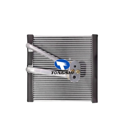 For Volkswagen New Jetta / New Santana / New Polo  Evaporator