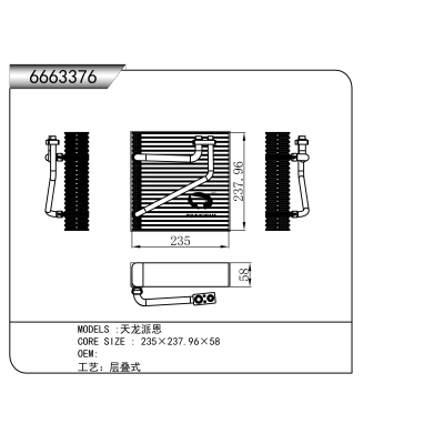 For  Tianlong Paien  Evaporator