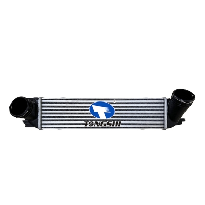 For  1 (E81) 06-12  Intercooler