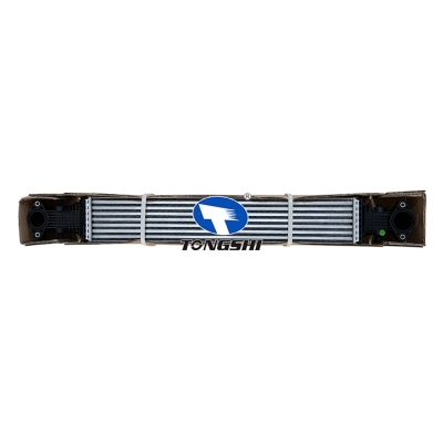 FOR INTERGRA(FE3)/CIVICFEI 2022/ Model INTERCOOLER