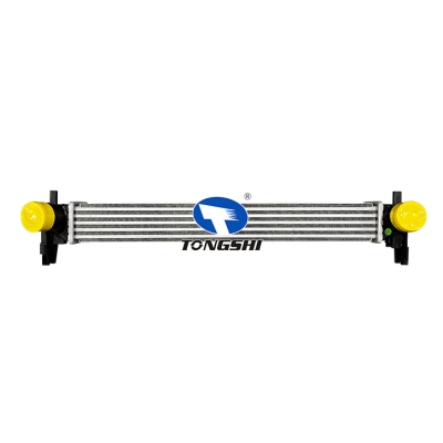 For AUDI A1(8X1,8XF)1.6 TDI 11-/VW POLO 1.2, 1.6 TDI  Intercooler