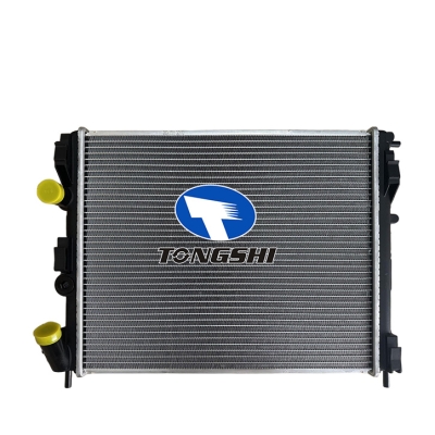 FOR CLIO 1.9DTI'98-00 MT RADIATOR
