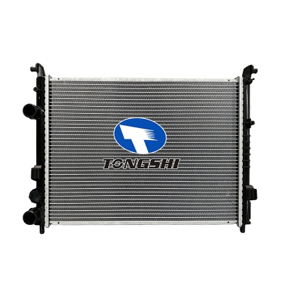 FOR  PALIO/STRADA 00-03 MT RADIATOR
