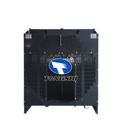For  12V135AZD Radiator