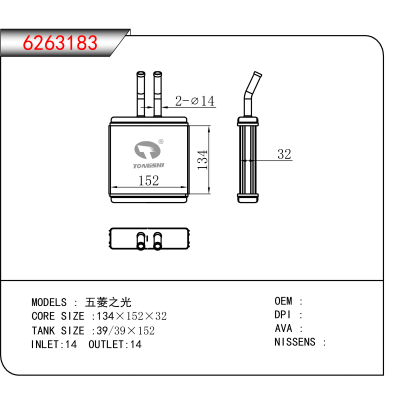 For 五菱之光