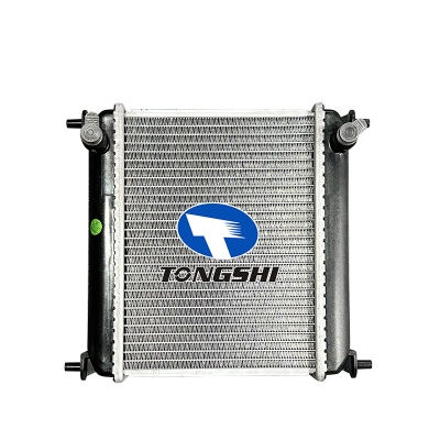 For  BMW X5 X6 X7 HEV  Radiator