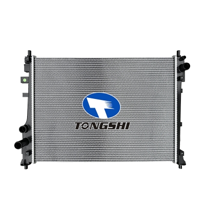 For Byd Song PLUS 1.5 2024 BEV high temperature Radiator