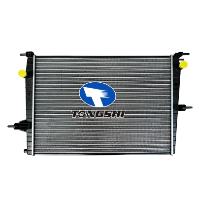 FOR NEGANE III 09- MT RADIATOR