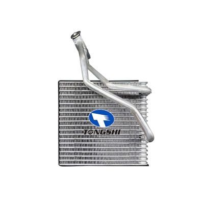 For VOLKSWAGEN BEETLEGOLF/  SYI/JETTA/R32/SKODA Evaporator