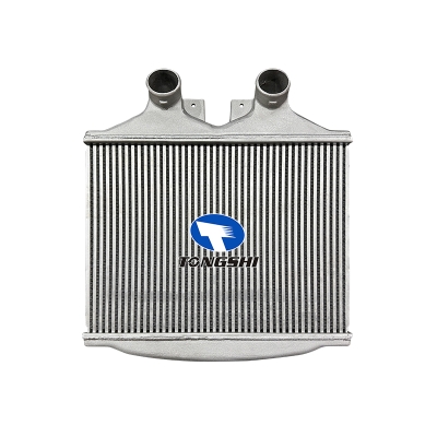 For  MERCEDES BENZ 914   915 1417  Intercooler