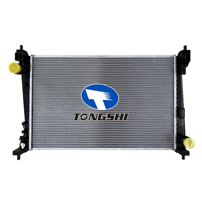 FOR  Fiat MT RADITOR